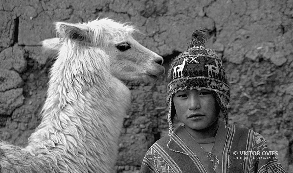 Cusco - Boy and Llama